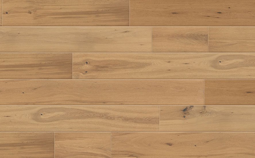 GC_AME-GC22002_Barnard_full